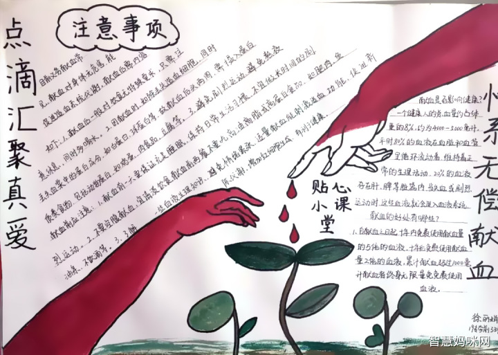 关于无偿献血的手抄报简单