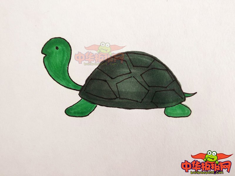 简单的乌龟怎么画一步一步教