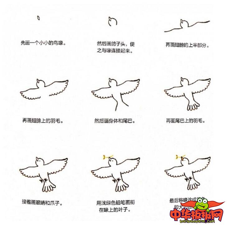 鸽子的最简单儿童画法