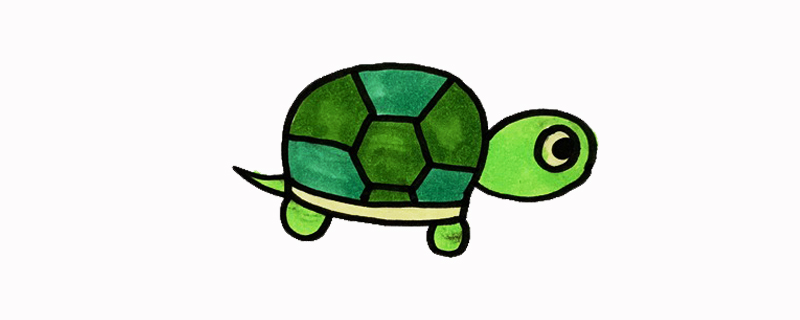 简单的乌龟怎么画彩色的