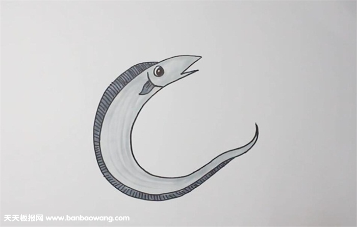 带鱼的简单画法