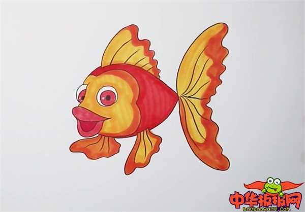 金鱼怎么画最好看