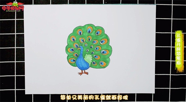 最漂亮的孔雀开屏怎么画