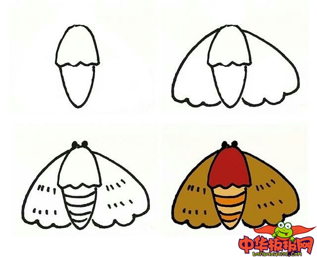 二十种昆虫简笔画