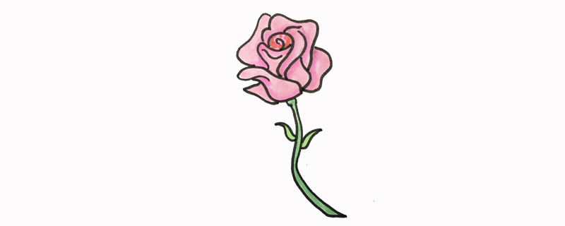 蔷薇花怎么画简笔画又漂亮