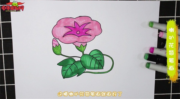 喇叭花简笔画彩色步骤图解