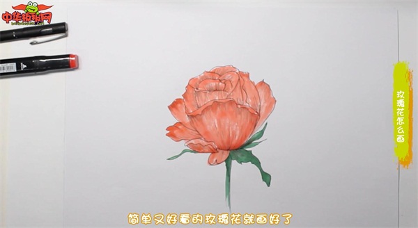 小学生玫瑰花怎么画