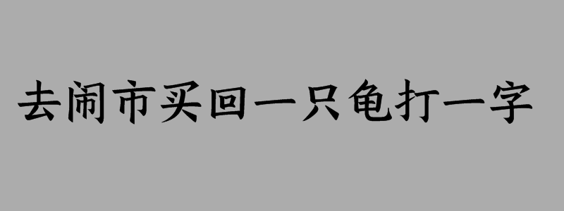 去闹市买回一只龟打一字谜语