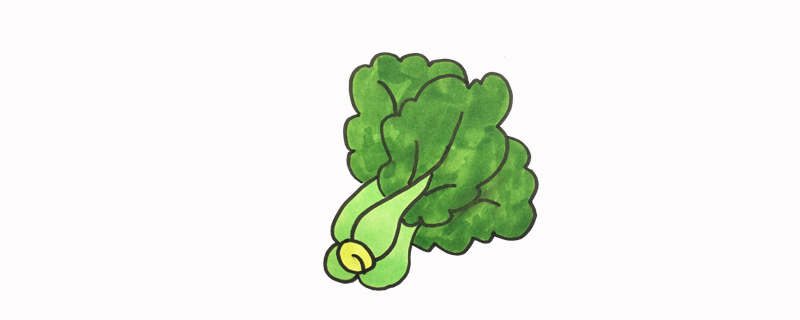 儿童画蔬菜的简笔画
