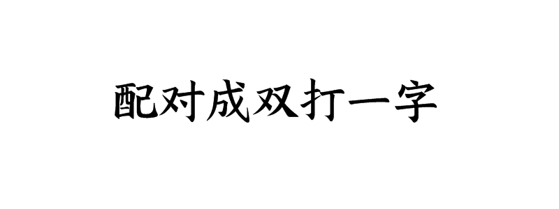 配对成双打一字谜底