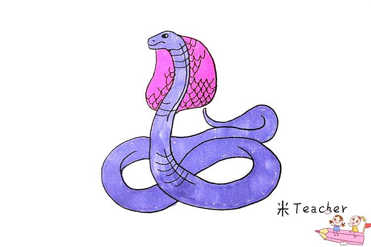 可怕的眼镜蛇简笔画