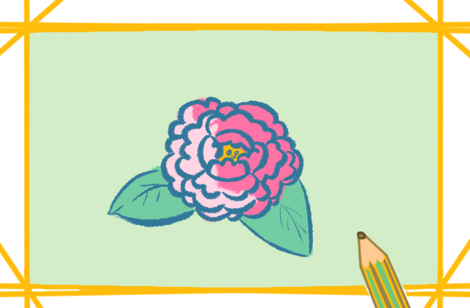 小学生牡丹花简笔画