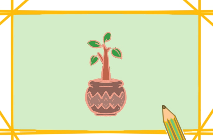 盆栽绿植简笔画