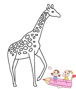 画长颈鹿最简单的画法