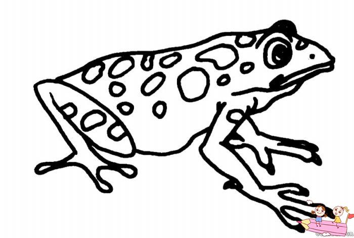 可爱的青蛙图片简笔画