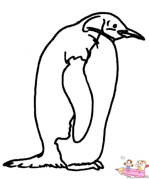 企鹅简笔画图片大全