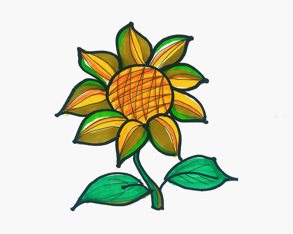 二年级向日葵怎么画