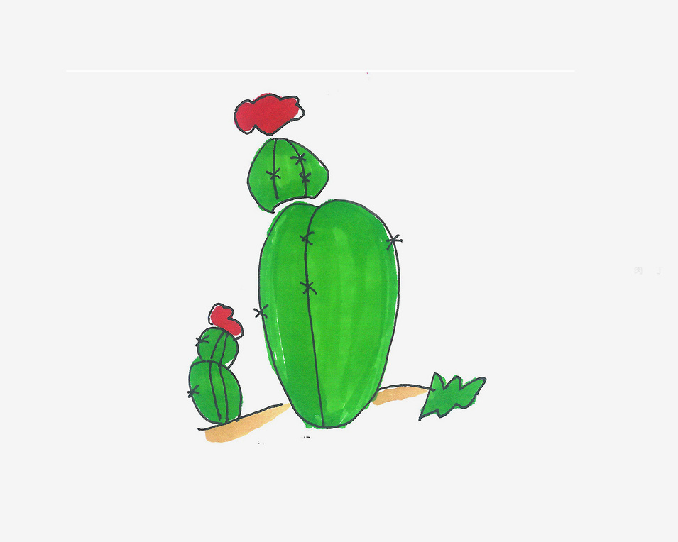 简单的仙人球的画