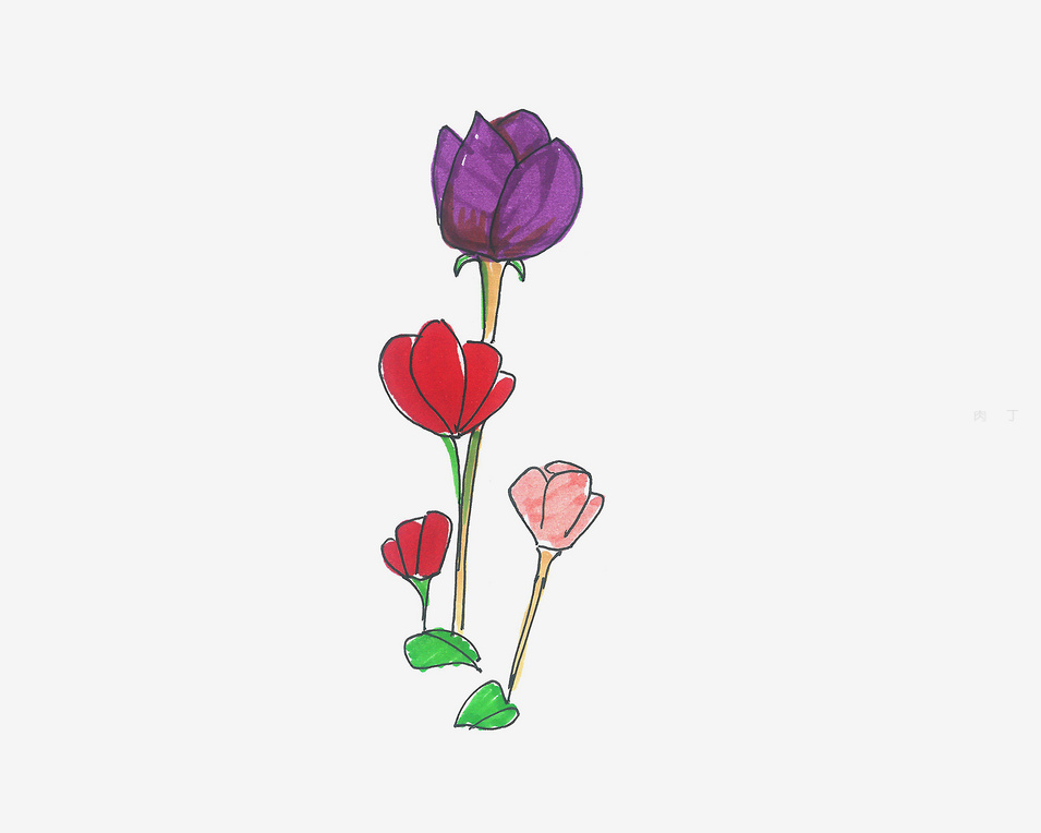 禁毒罂粟花简笔画