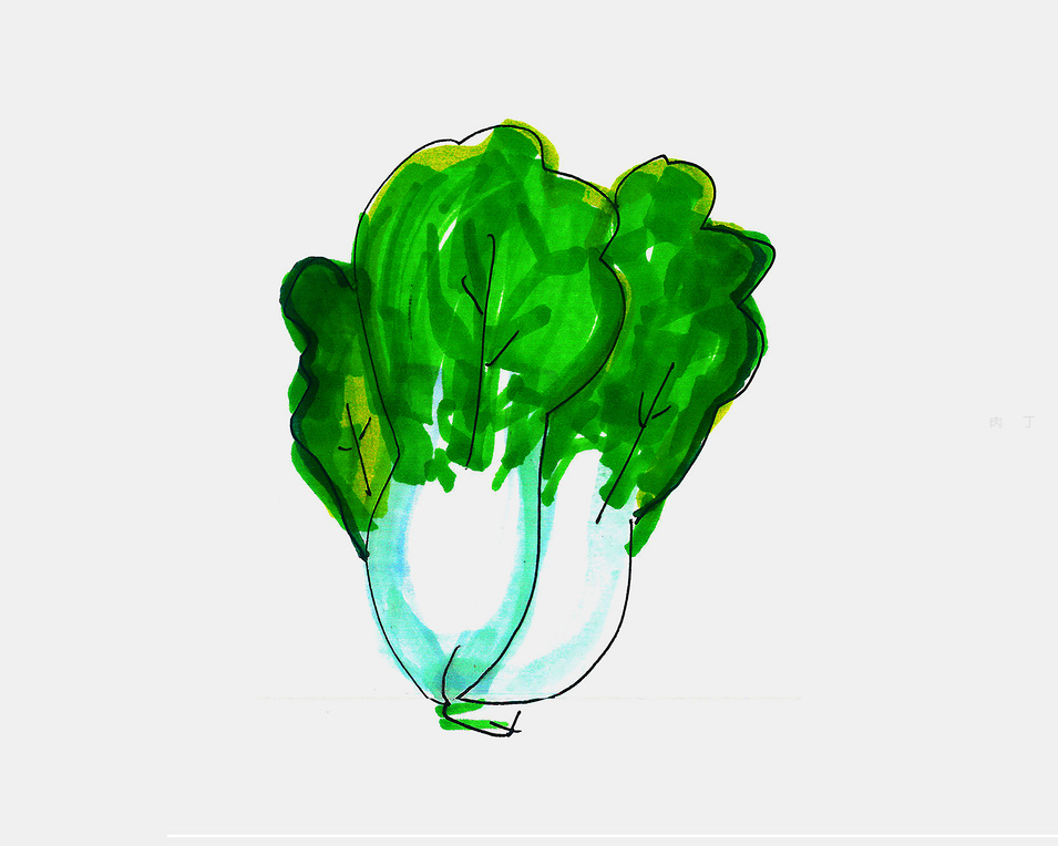 小白菜咋画简笔画