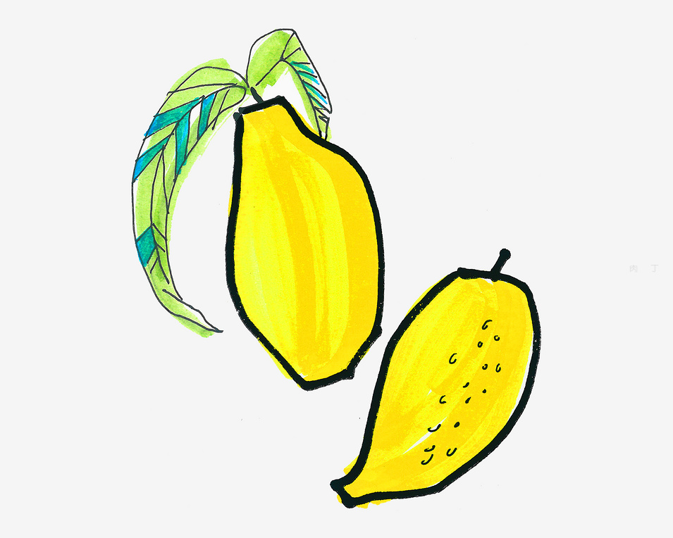 柠檬画法以及涂色