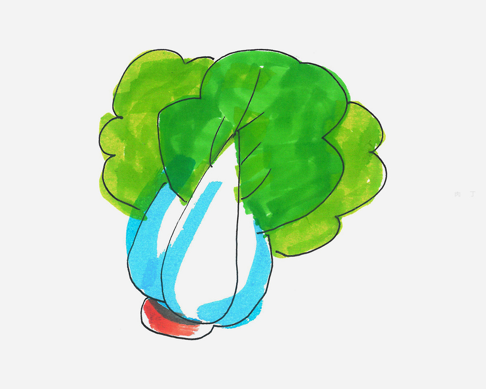 色彩大白菜画法和调色