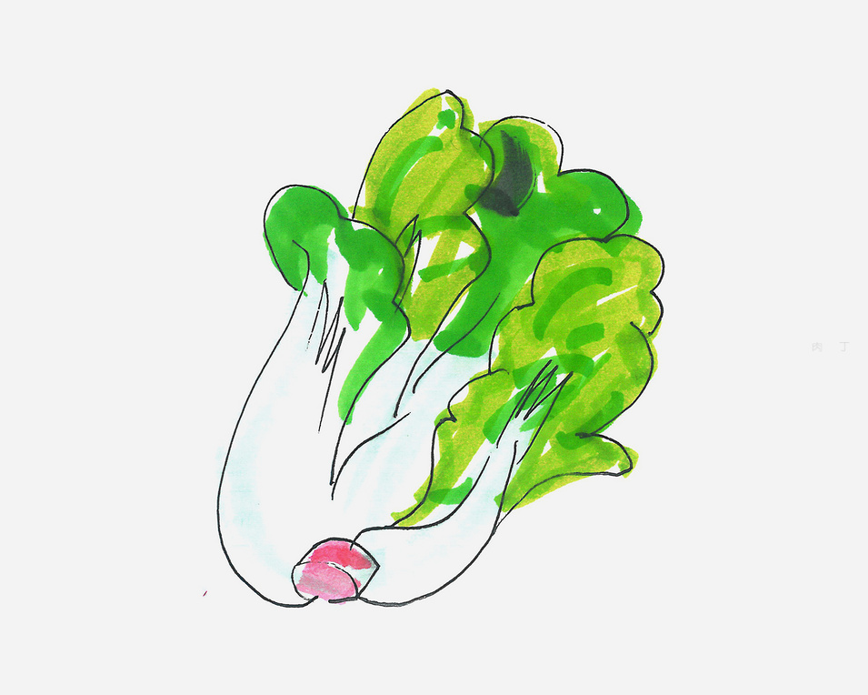 7-9岁可爱白菜怎么画好看