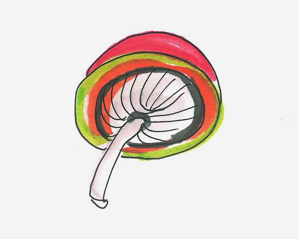 蘑菇应该涂什么颜色好看