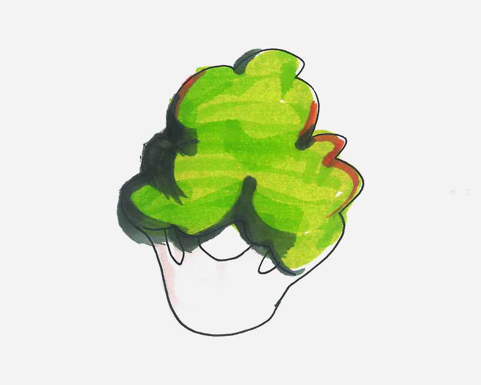 色彩西兰花怎么画