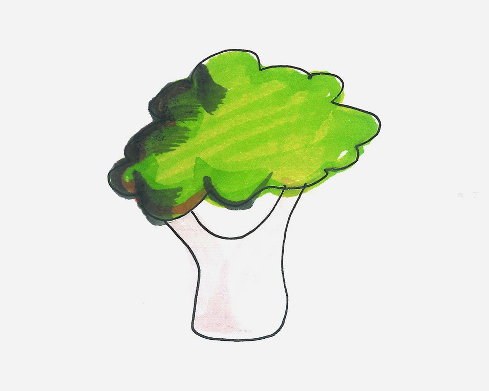 画西兰花的画法