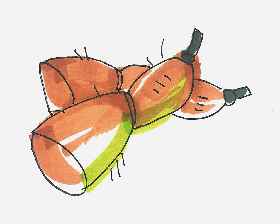 莲藕的画法教程