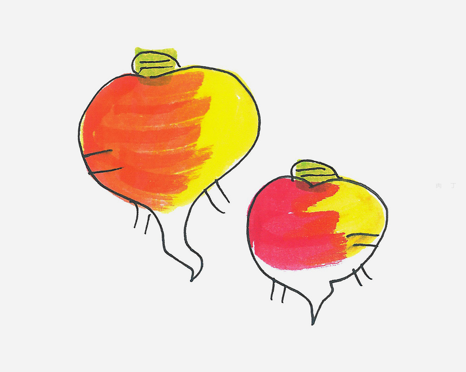 水萝卜简笔画怎么画