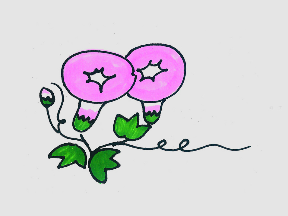 牵牛花怎么画最简单
