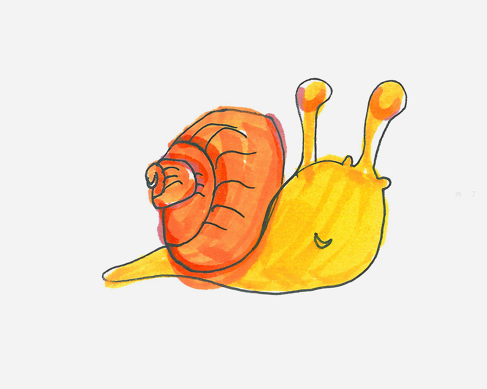 海绵宝宝的宠物小窝的简笔画