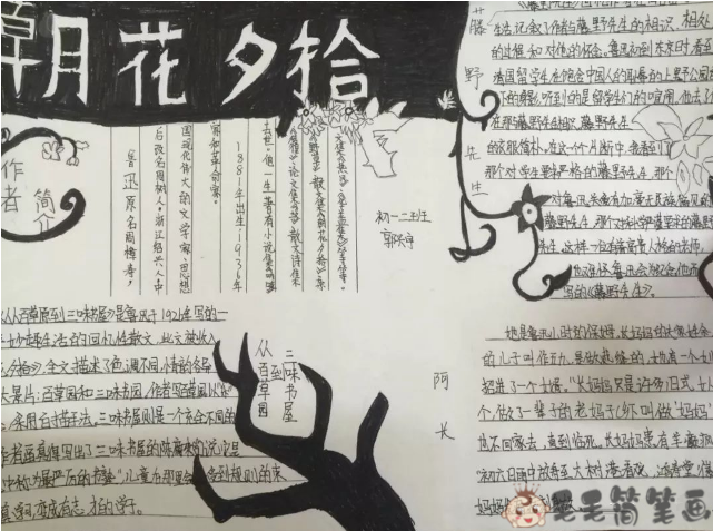 朝花夕拾名著推荐手抄报