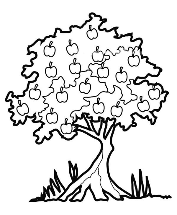 结满果实的树简笔画