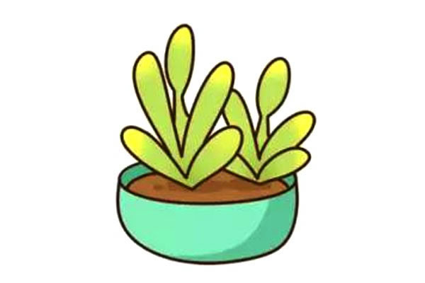 小植物盆栽简笔画