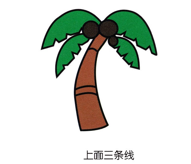 儿童简笔画椰子树的画法