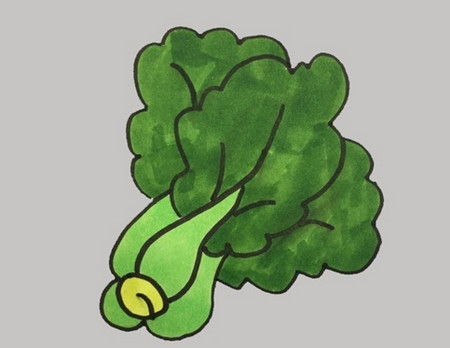 如何画青菜简笔画步骤