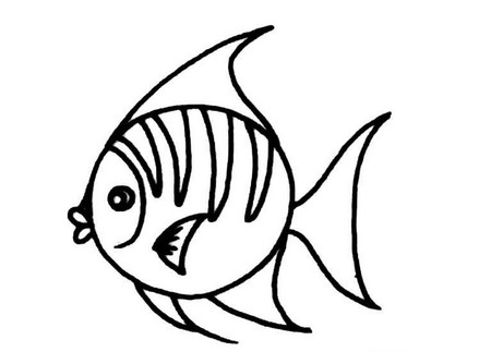 热带鱼画法简笔画图片