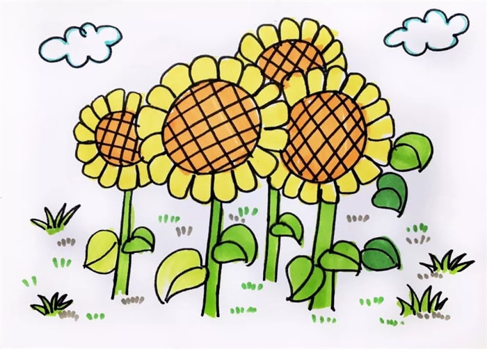 一大片向日葵的彩色简笔画