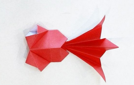 小金鱼折纸教程 简单小鱼折纸步骤