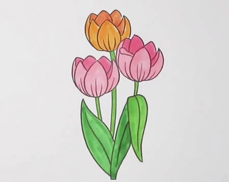 郁金香简笔画步骤简单又好看