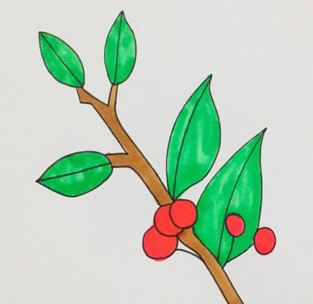 漂亮的冬青树树枝简笔画怎么画