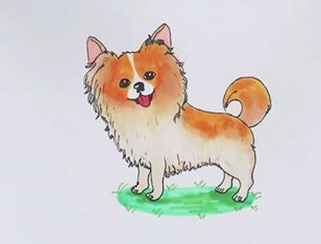 漂亮的蝴蝶犬简笔画怎么画