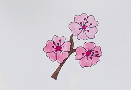 一步一步教你樱花怎么画