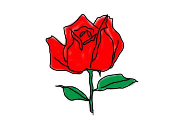 一朵唯美玫瑰花简笔画