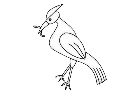 简单的啄木鸟吃虫子简笔画怎么画