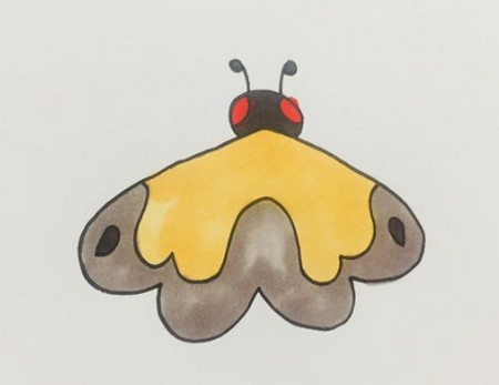 幼儿园画简单的飞蛾怎么画