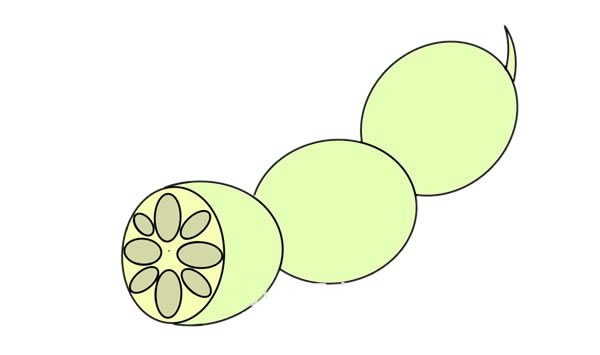 怎么画莲藕简笔画
